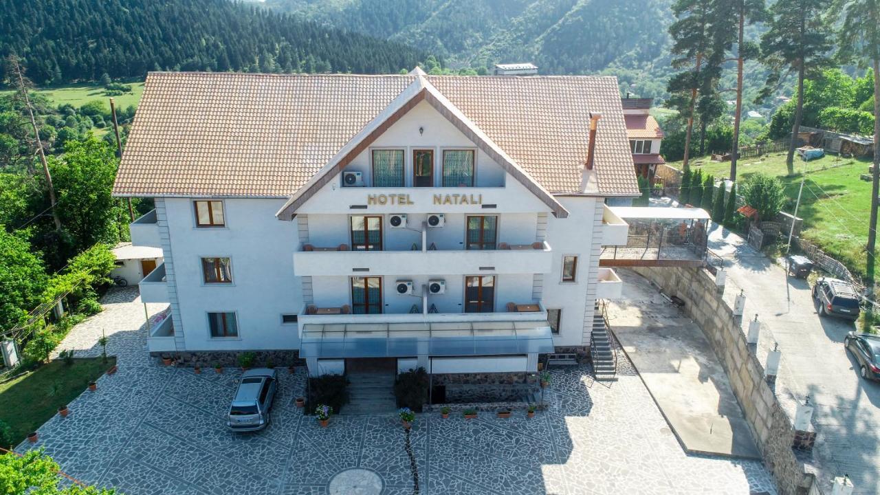 Natali Hotel Bordjomi Extérieur photo
