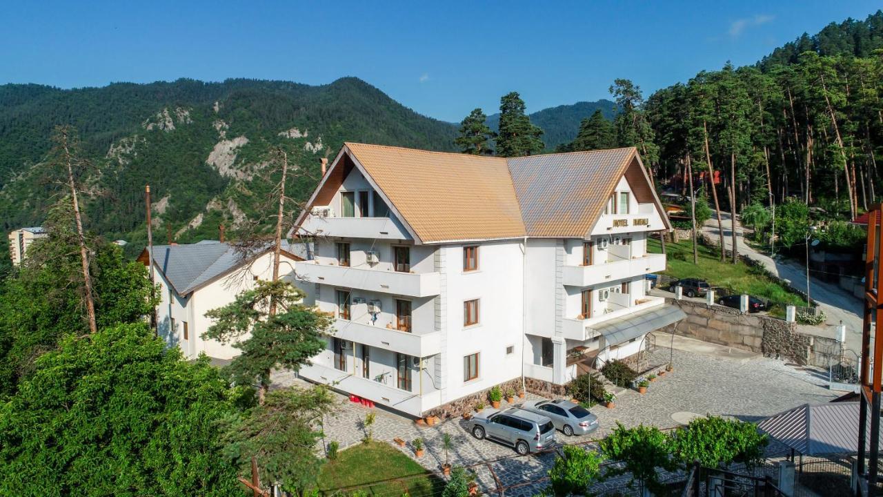 Natali Hotel Bordjomi Extérieur photo