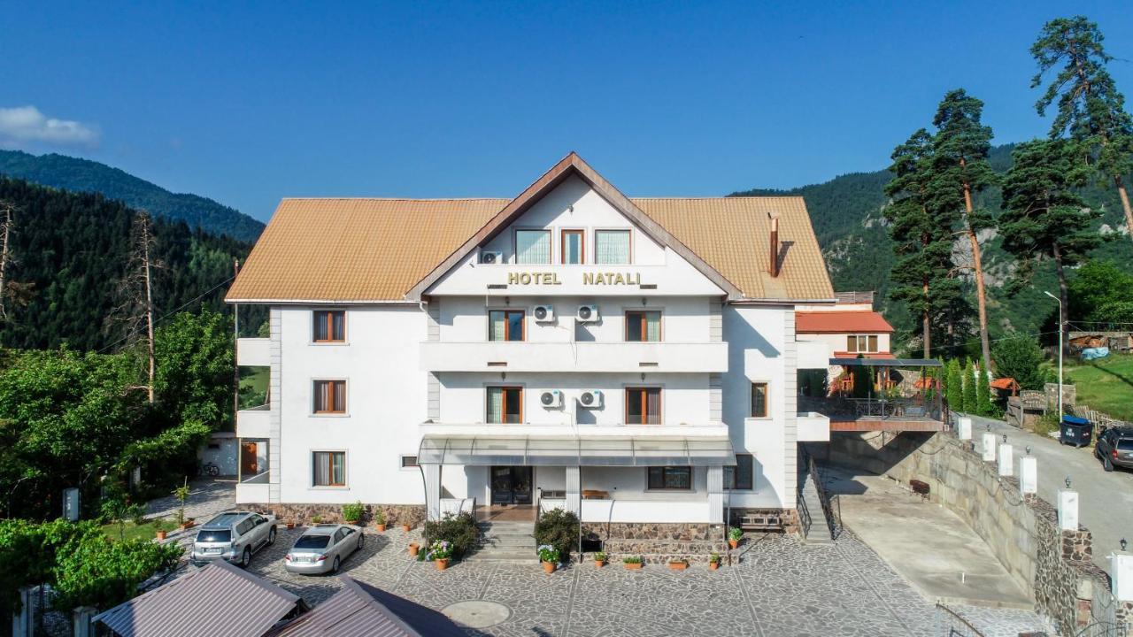 Natali Hotel Bordjomi Extérieur photo
