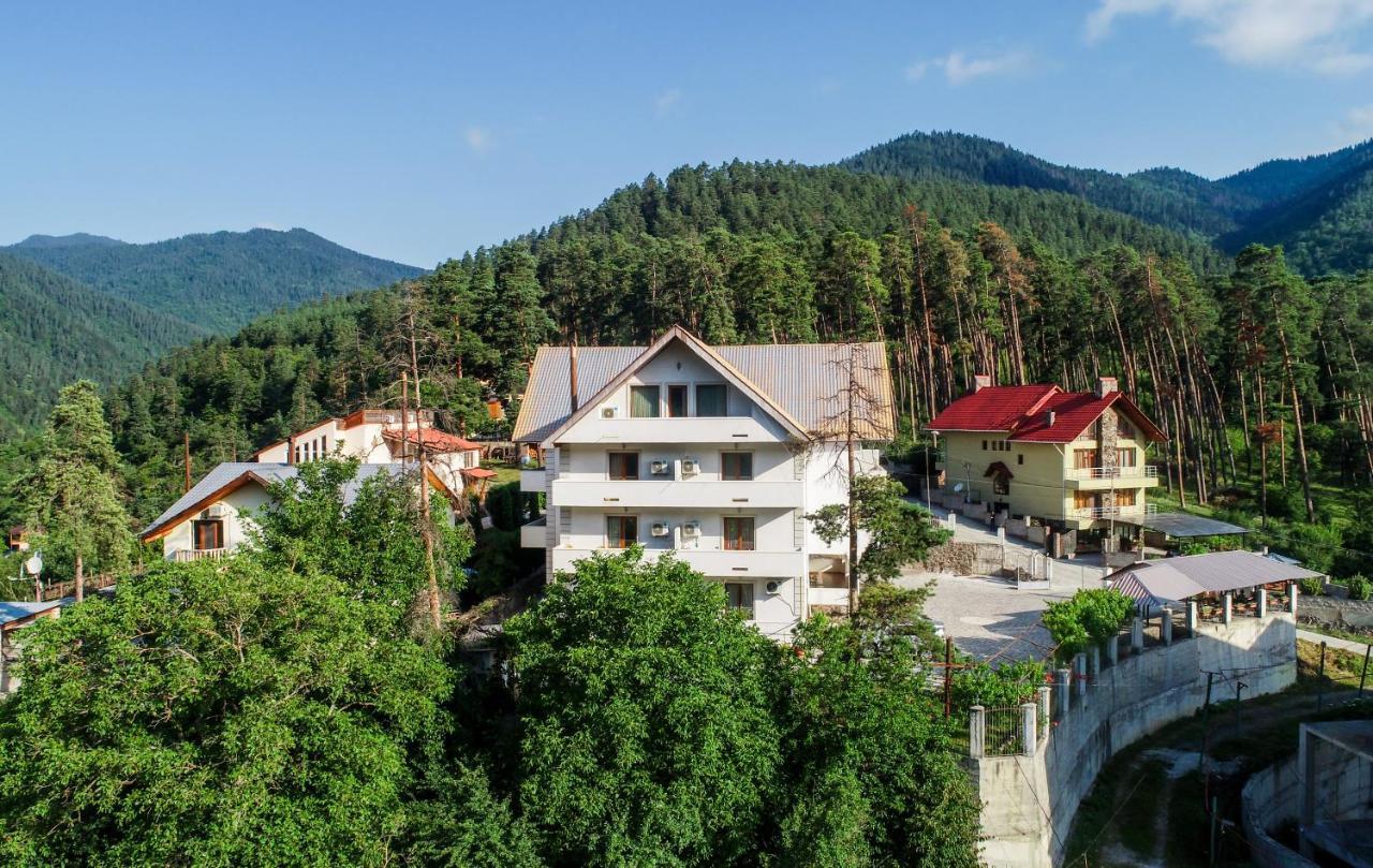 Natali Hotel Bordjomi Extérieur photo