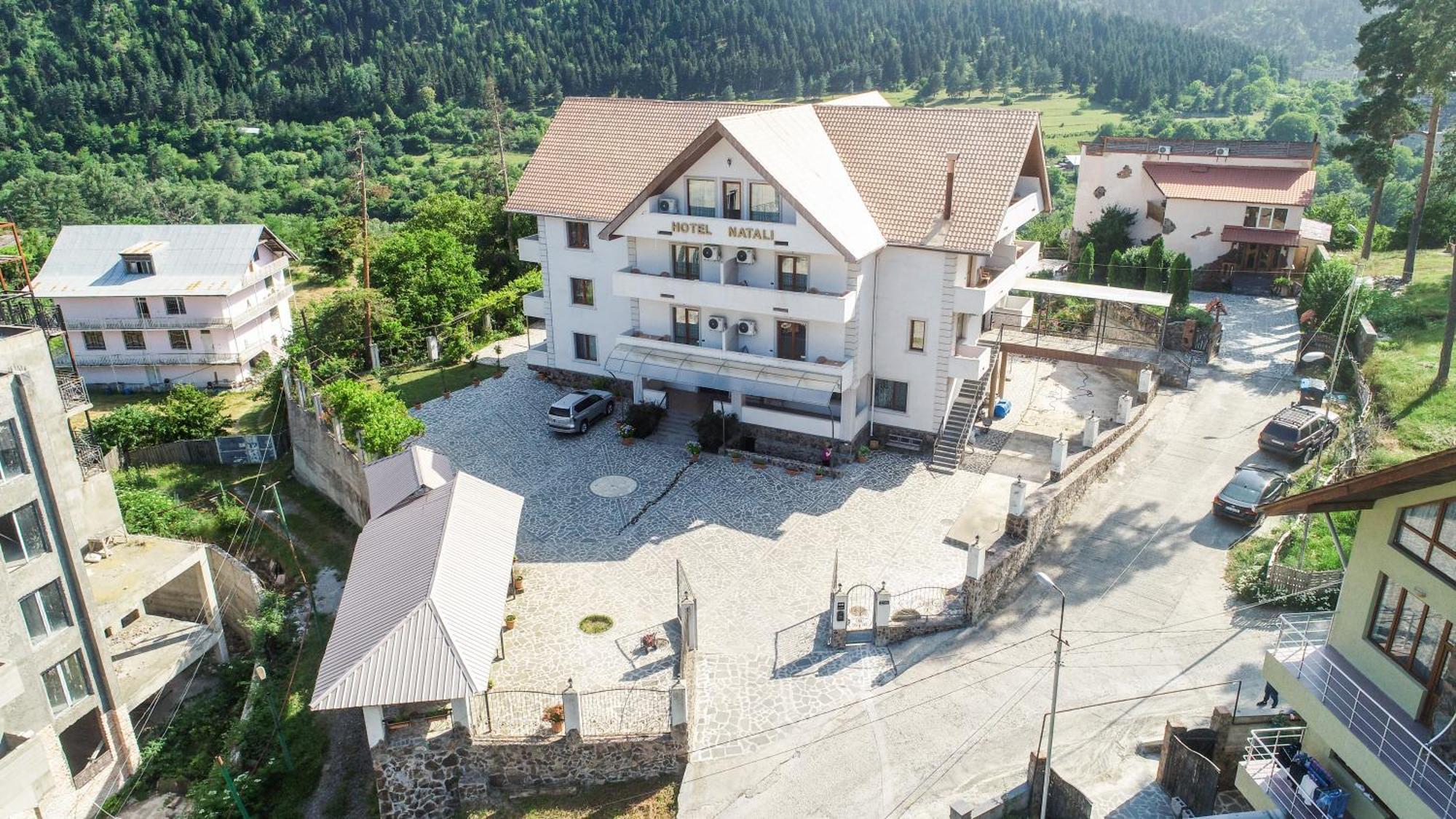 Natali Hotel Bordjomi Extérieur photo