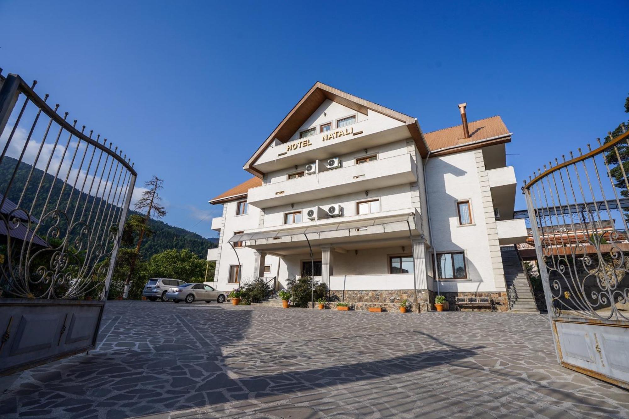 Natali Hotel Bordjomi Extérieur photo